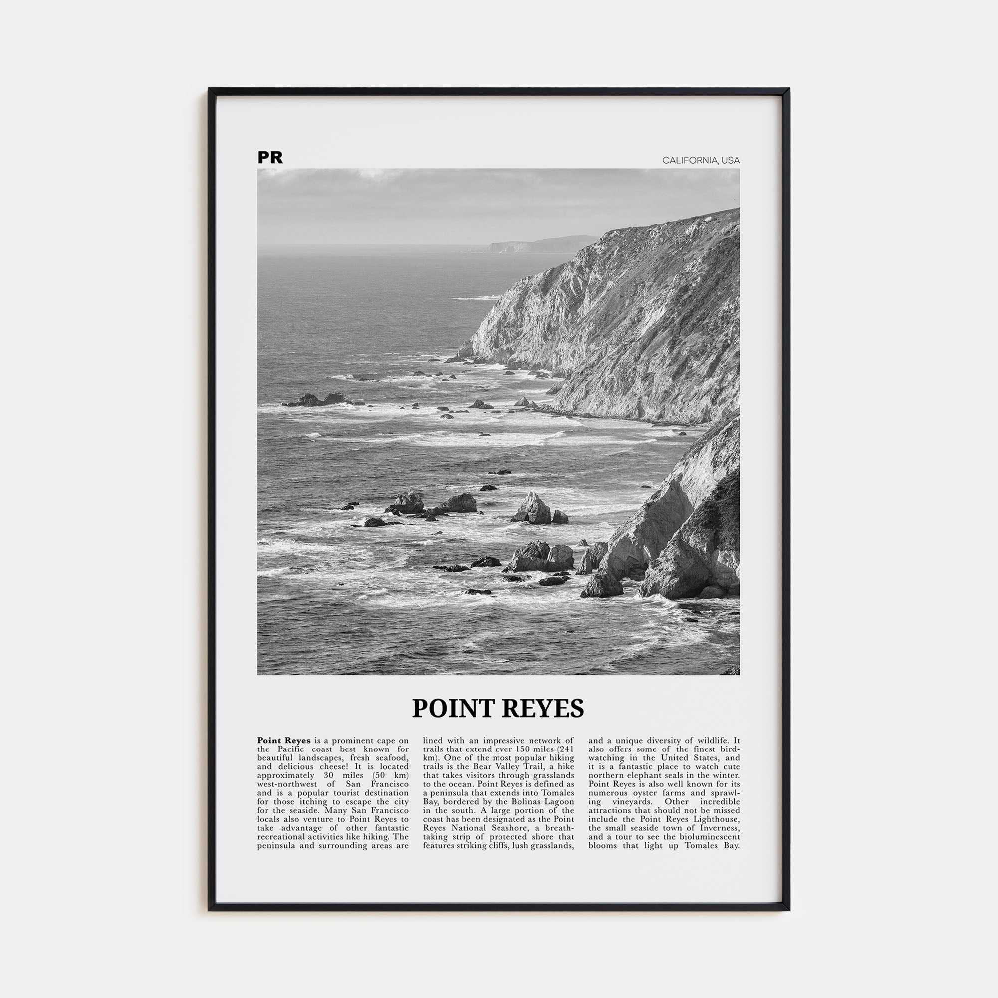 Point Reyes Travel B&W Poster