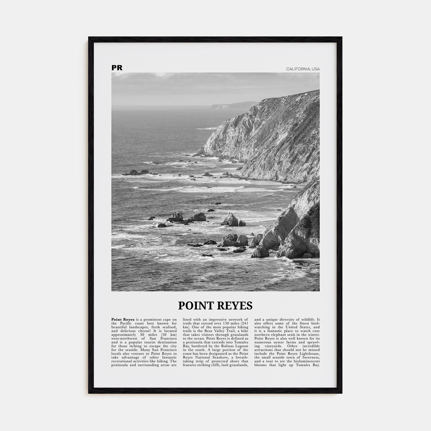 Point Reyes Travel B&W Poster