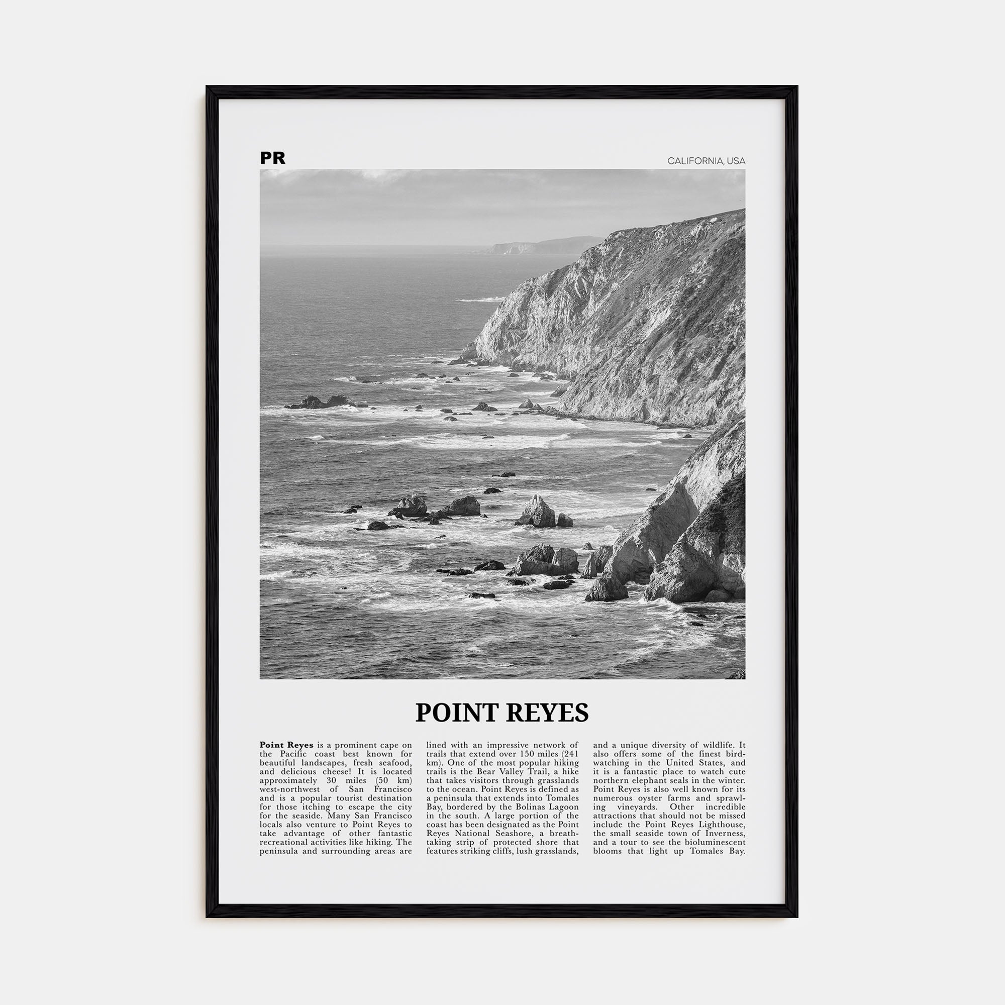 Point Reyes Travel B&W Poster