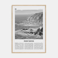 Point Reyes Travel B&W Poster