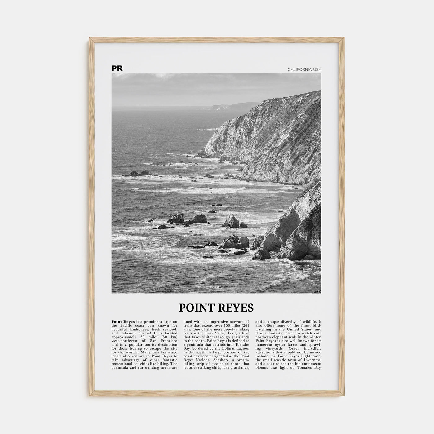 Point Reyes Travel B&W Poster
