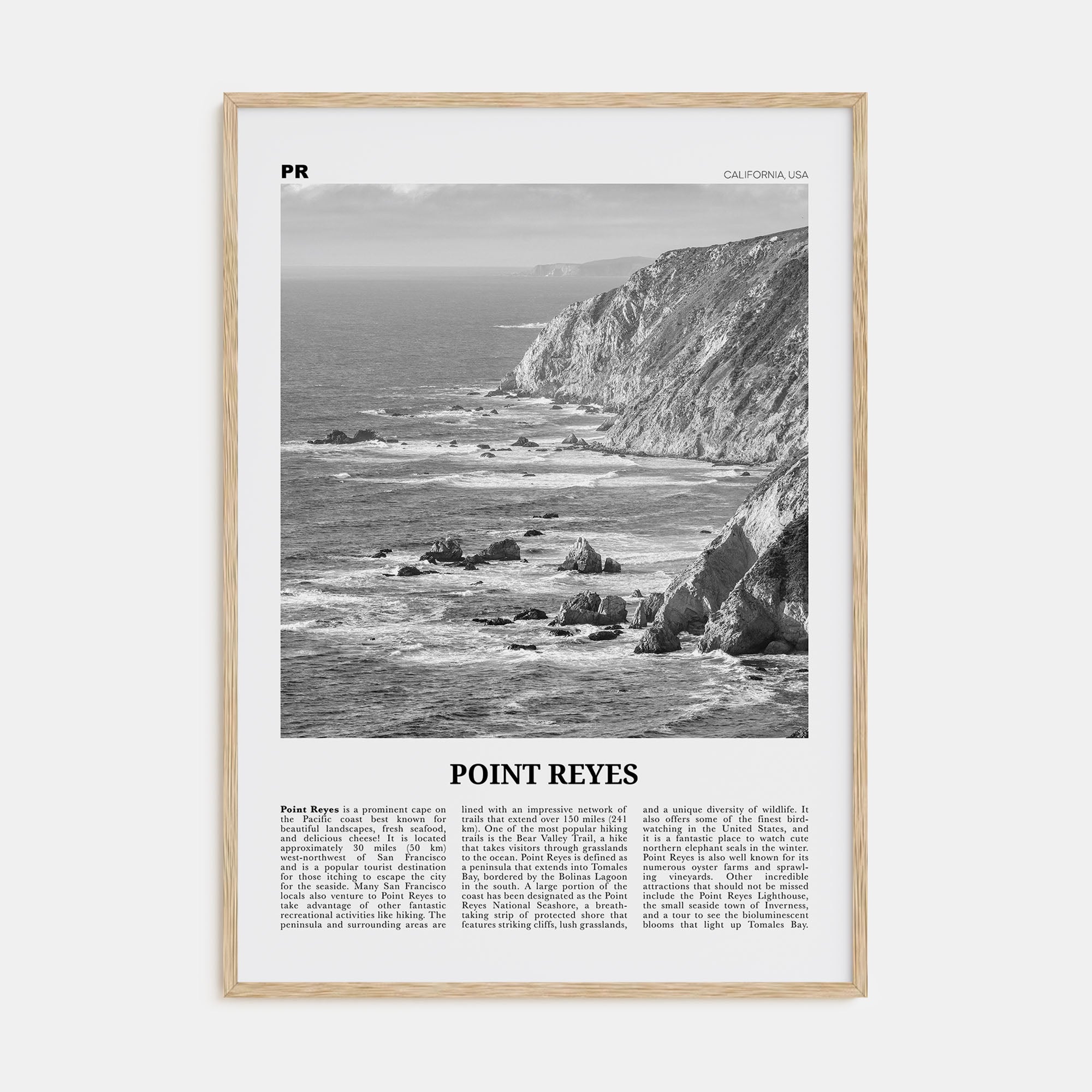 Point Reyes Travel B&W Poster