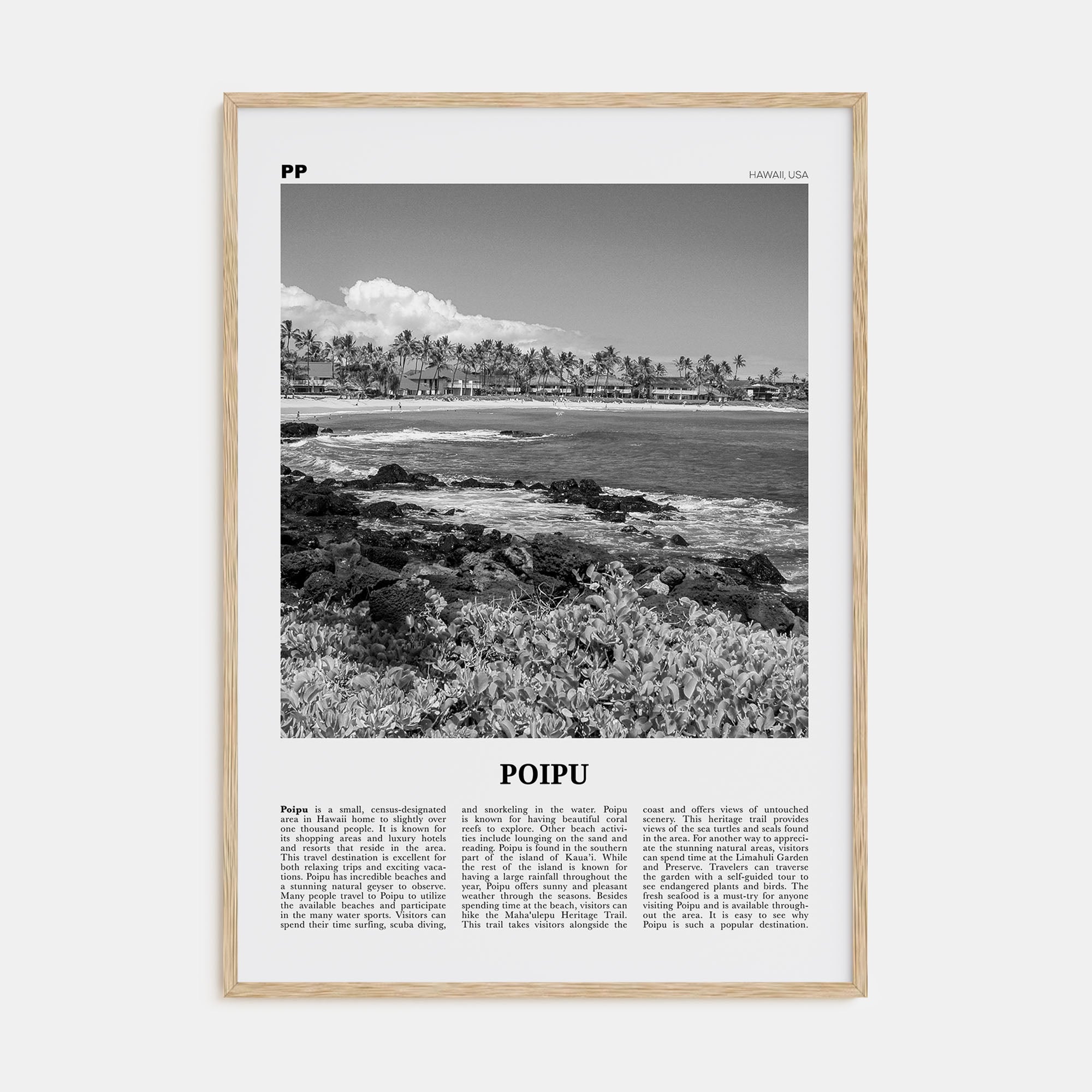 Poipu Travel B&W Poster