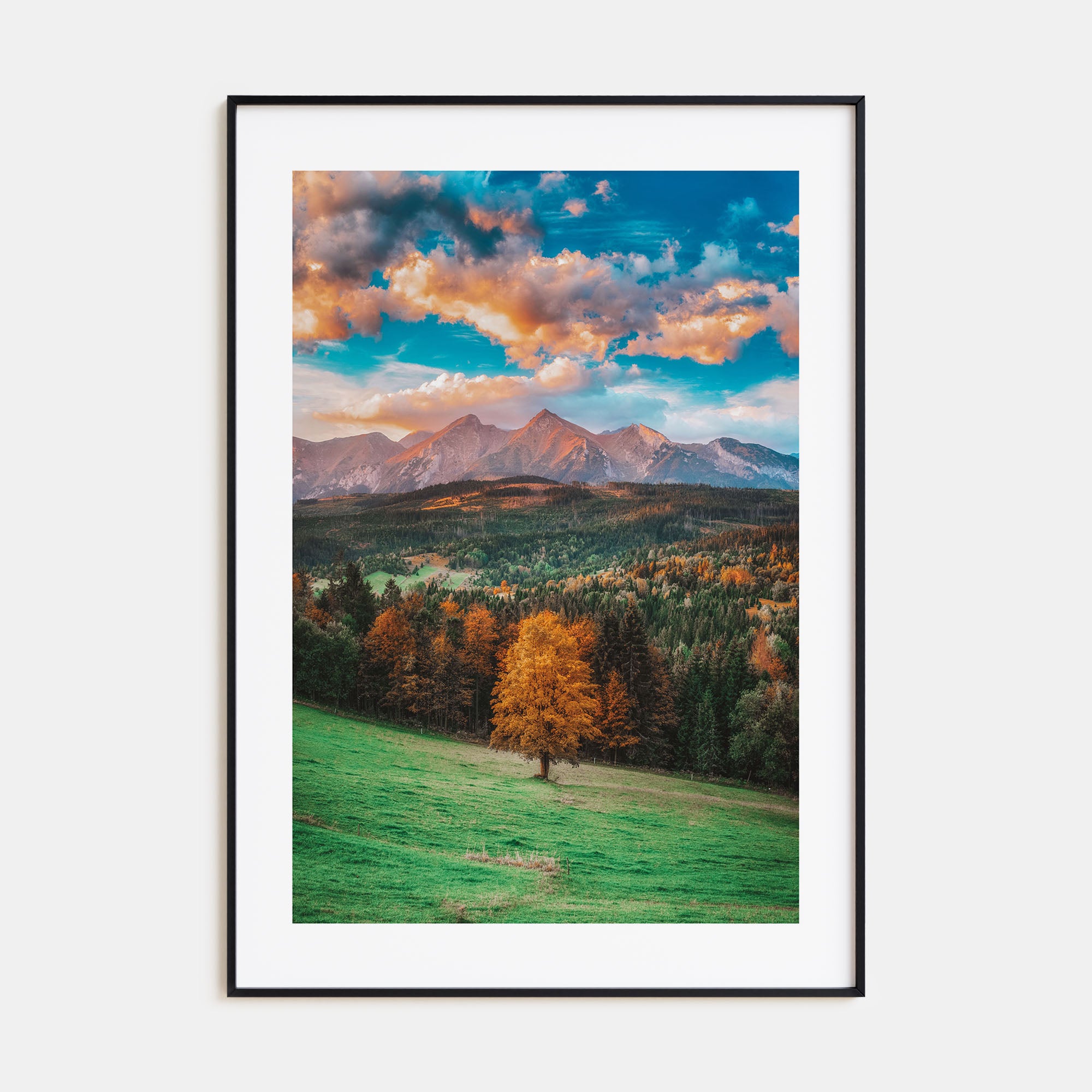 Poland Photo Color Poster