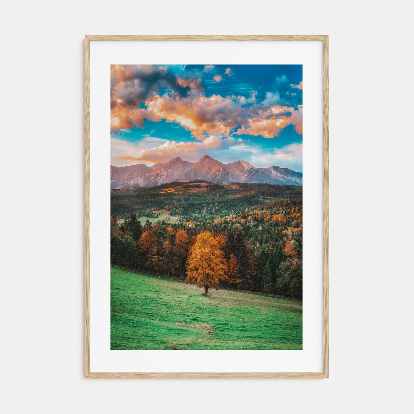 Poland Photo Color Poster