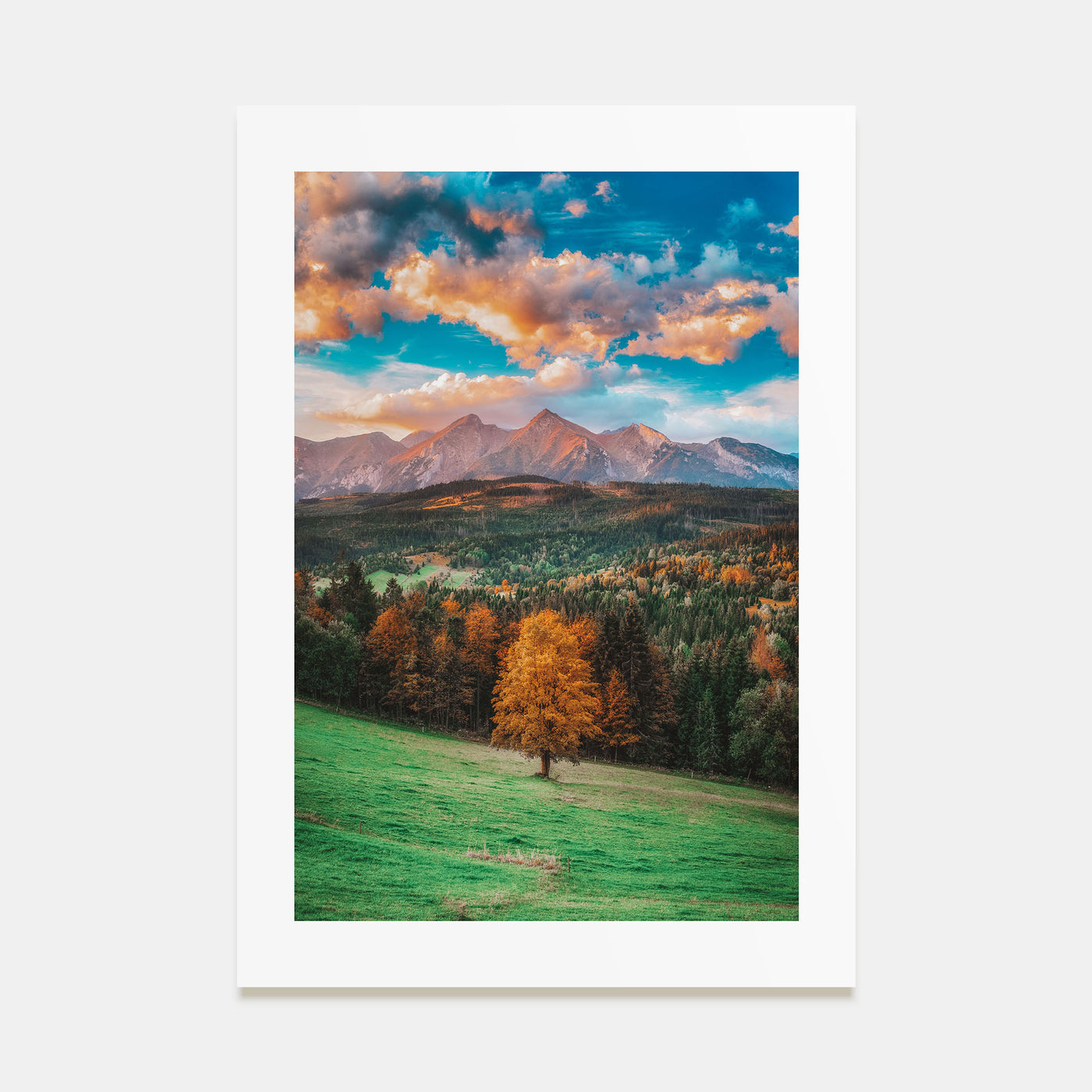 Poland Photo Color Poster