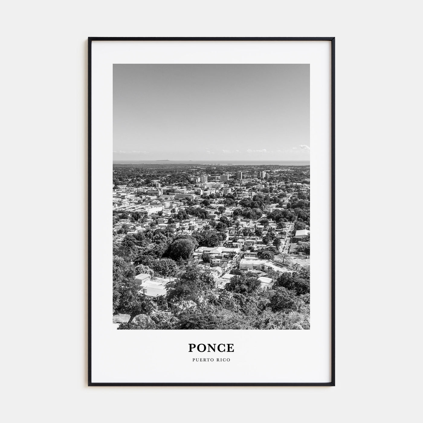 Ponce Portrait B&W Poster