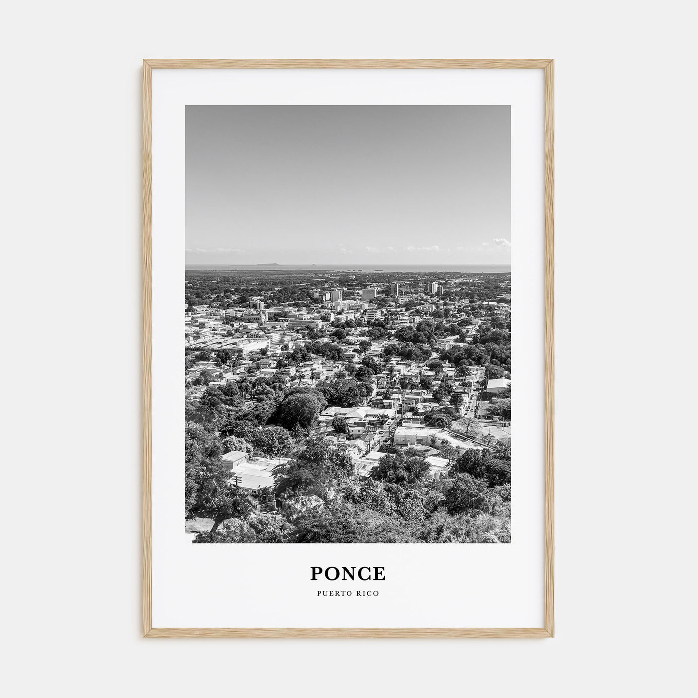Ponce Portrait B&W Poster