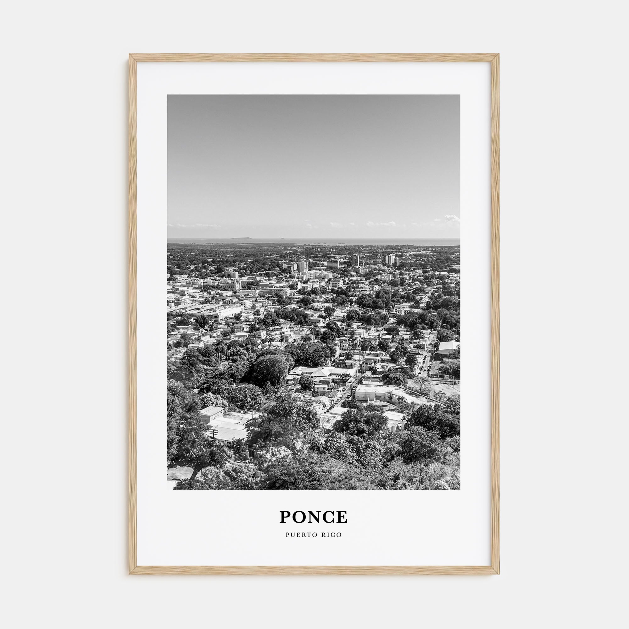 Ponce Portrait B&W Poster
