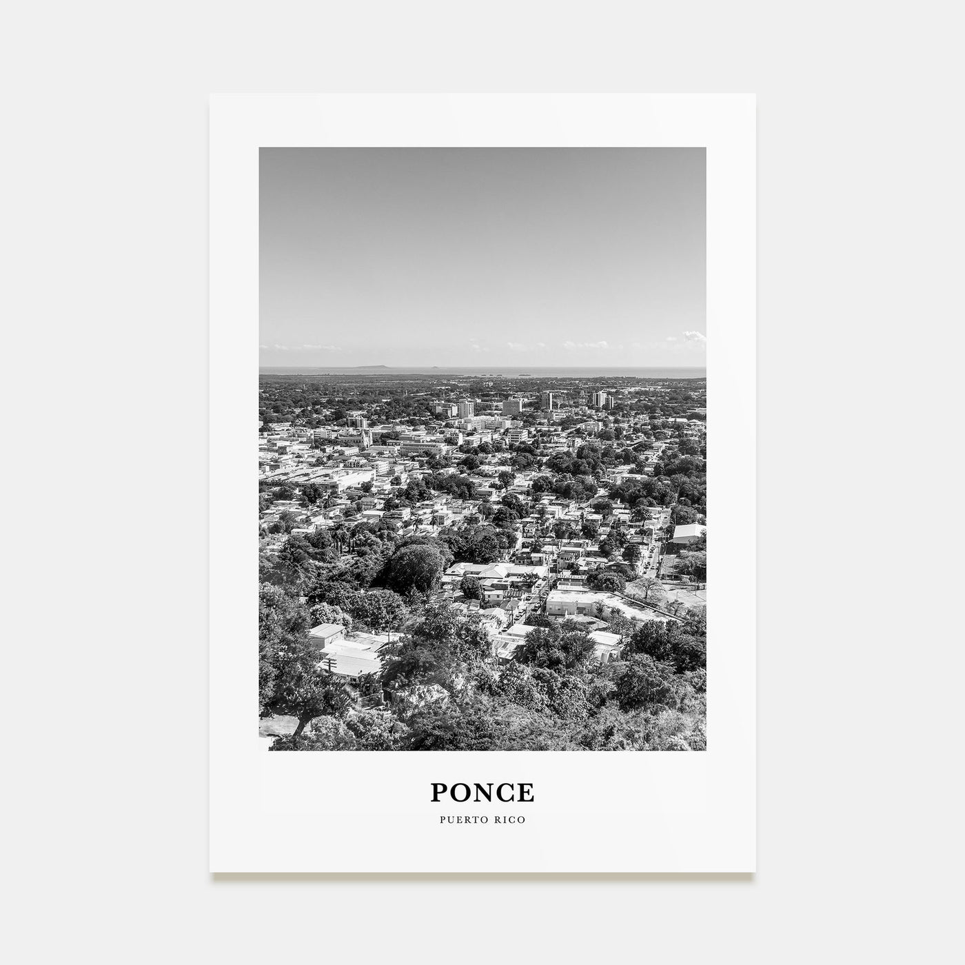 Ponce Portrait B&W Poster