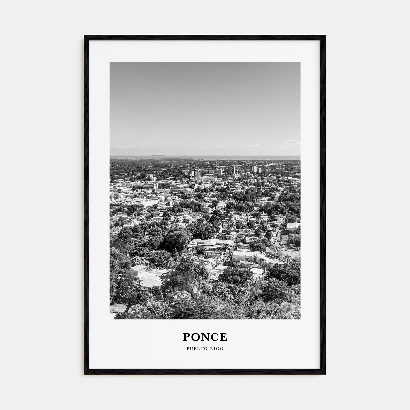 Ponce Portrait B&W Poster