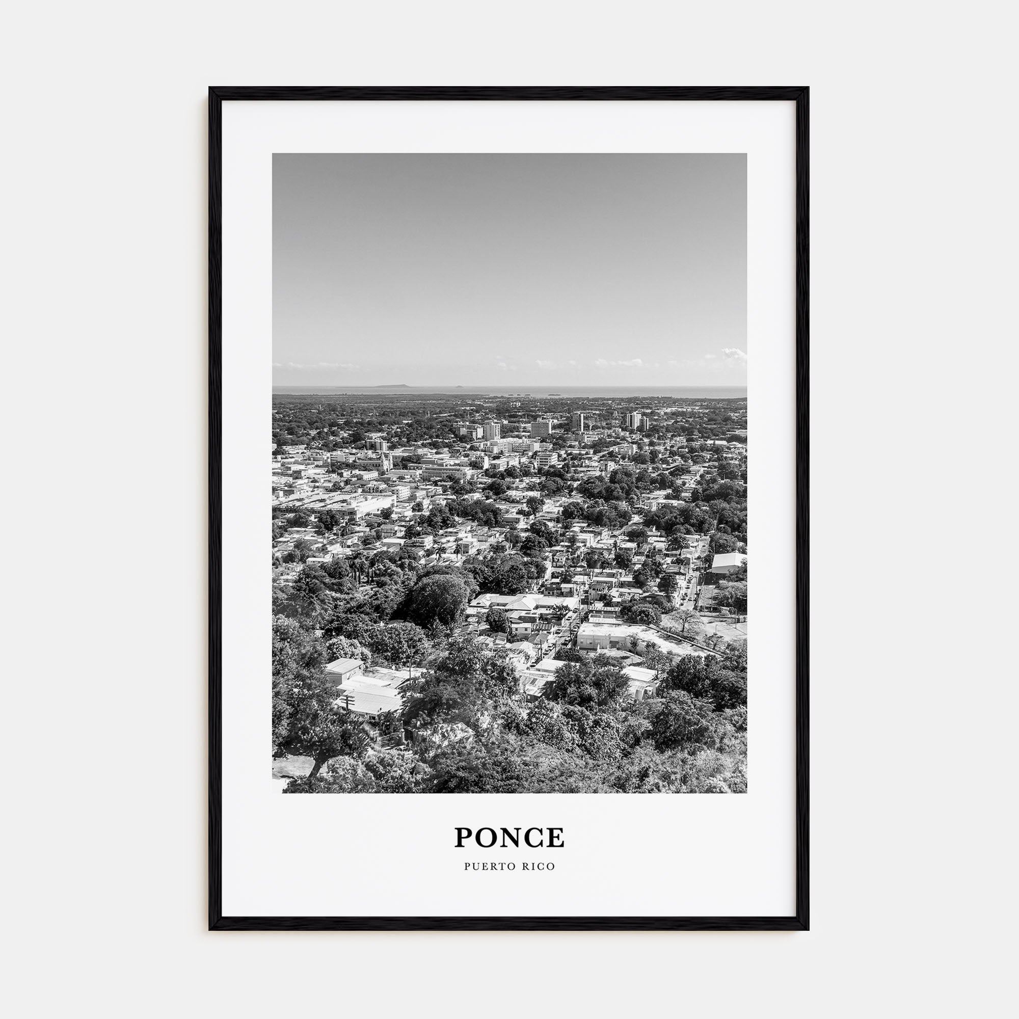 Ponce Portrait B&W Poster