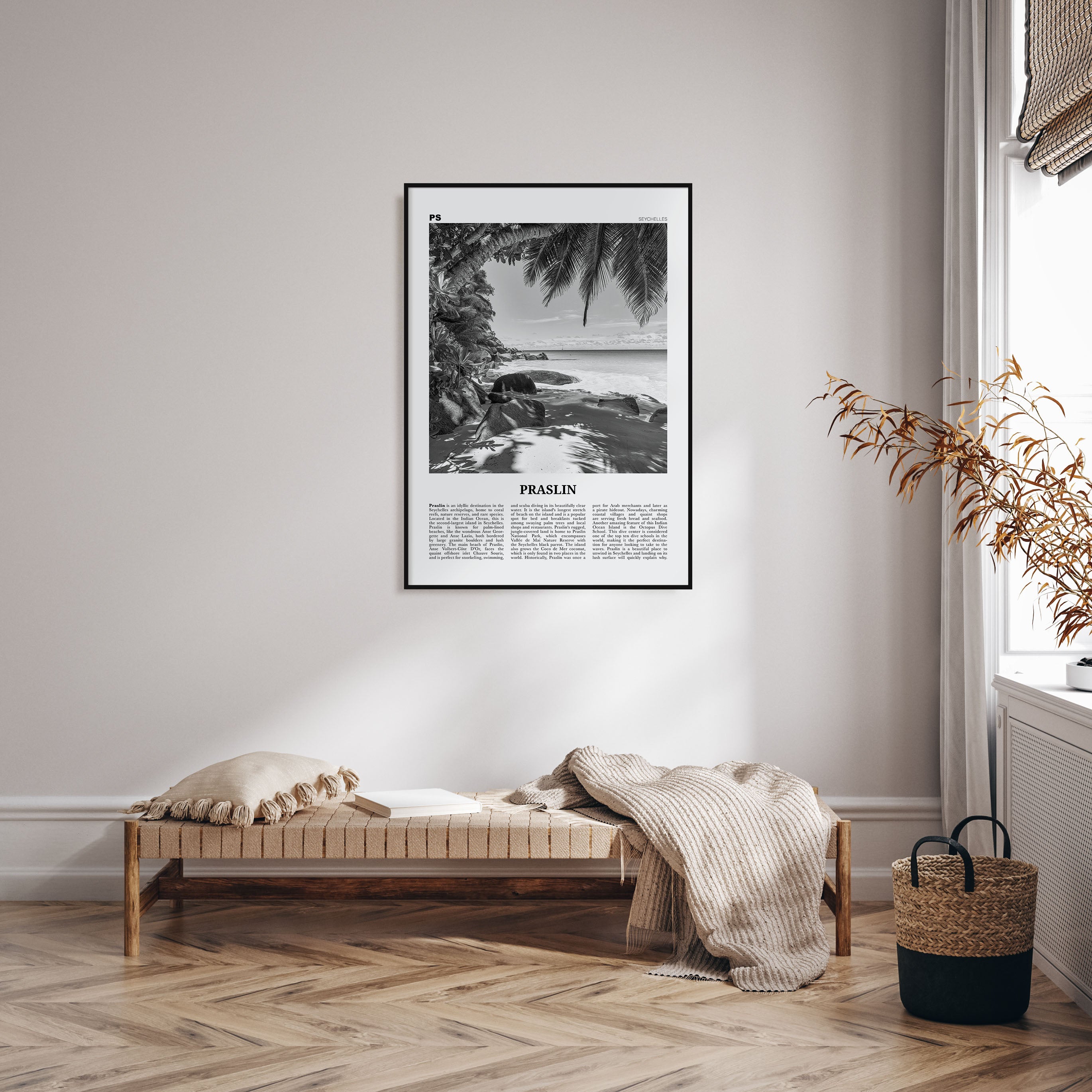 Praslin Travel B&W Poster