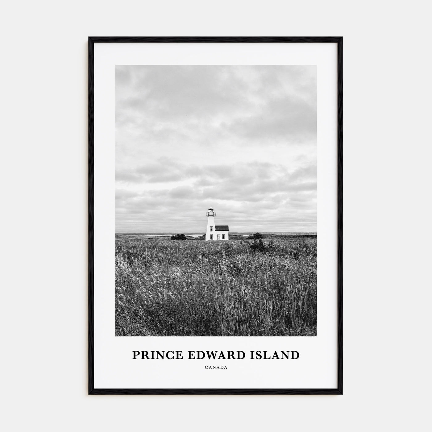 Prince Edward Island Portrait B&W Poster
