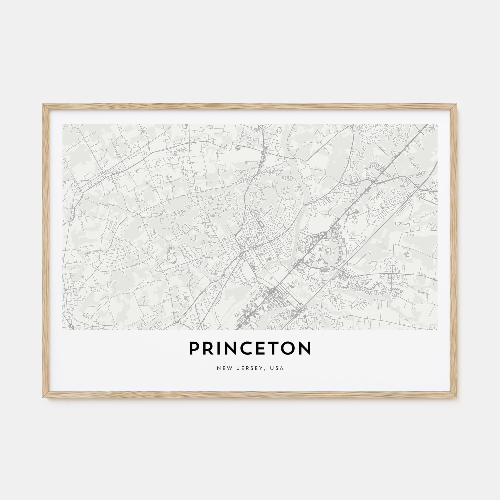 Princeton Map Landscape Poster