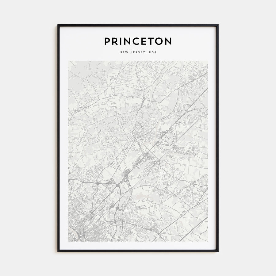 Princeton Map Portrait Poster