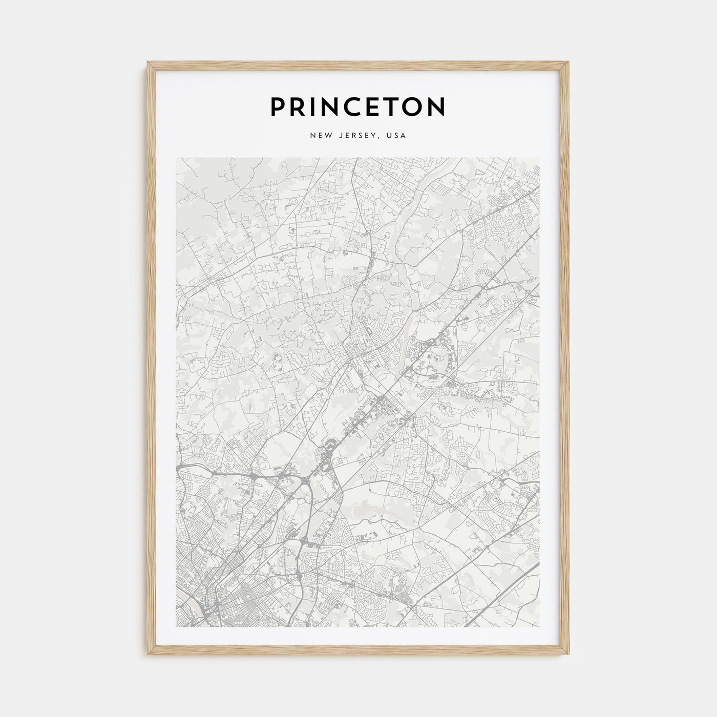Princeton Map Portrait Poster