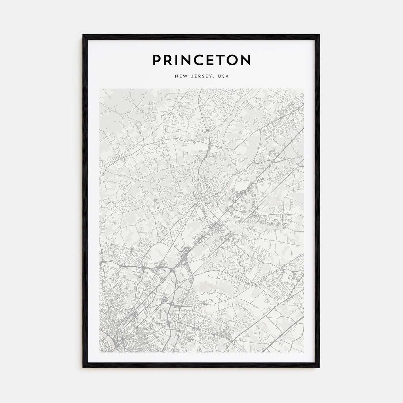 Princeton Map Portrait Poster