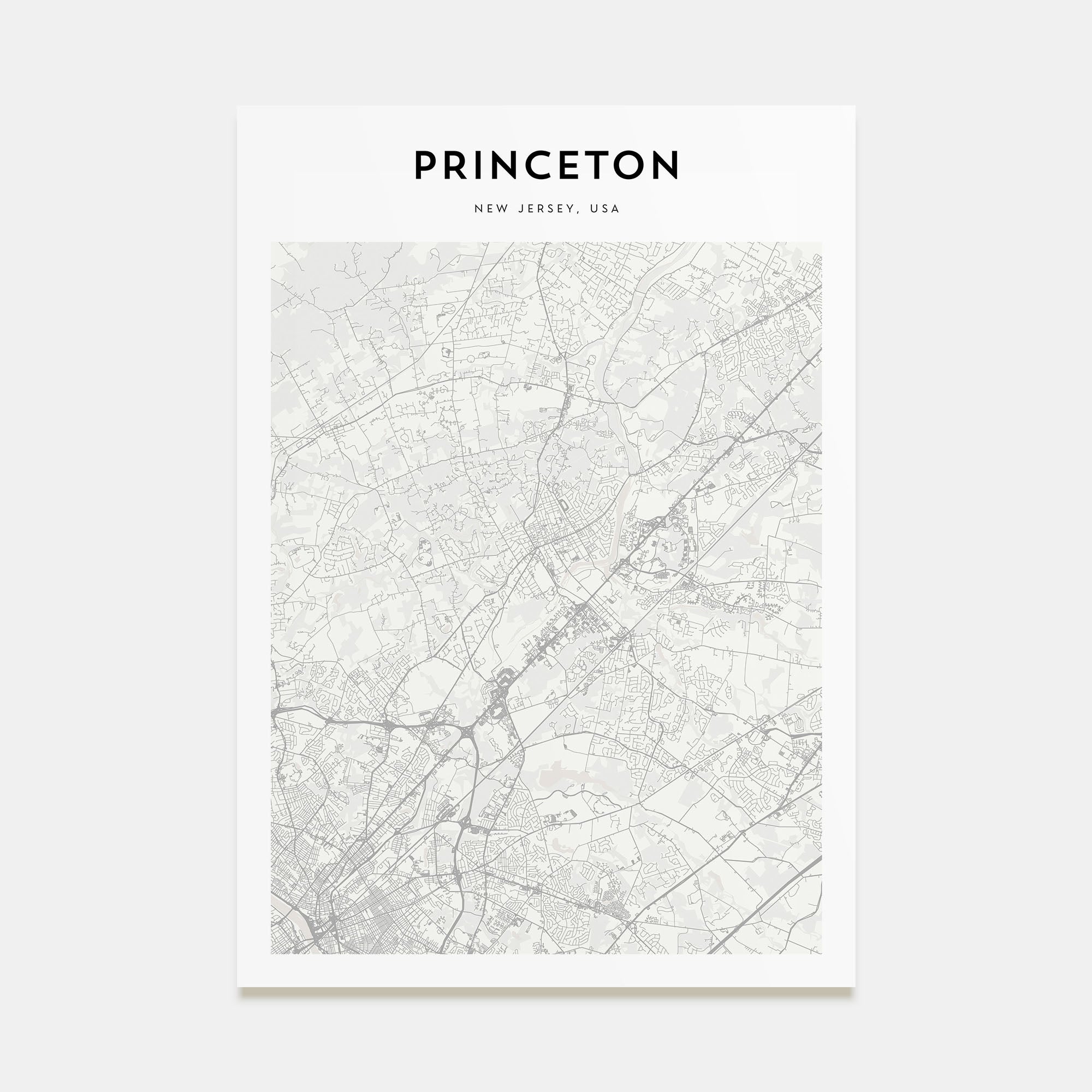 Princeton Map Portrait Poster