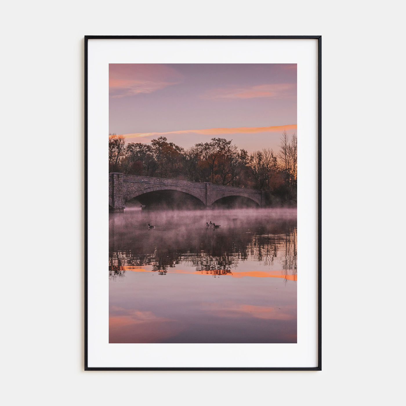 Princeton Photo Color No 1 Poster