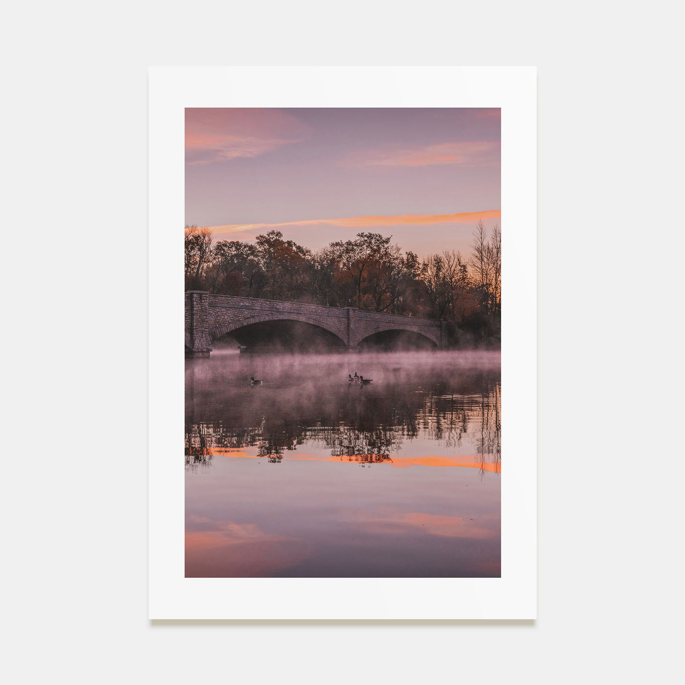 Princeton Photo Color No 1 Poster