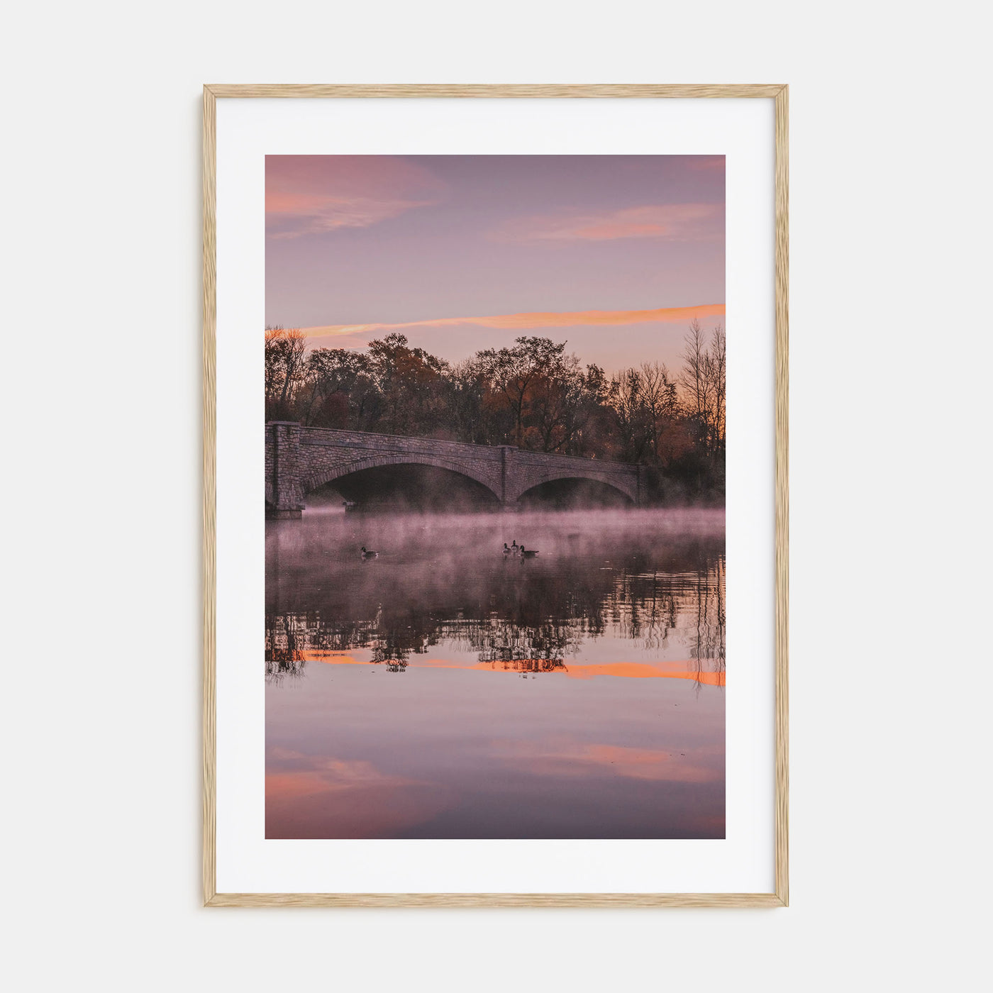 Princeton Photo Color No 1 Poster