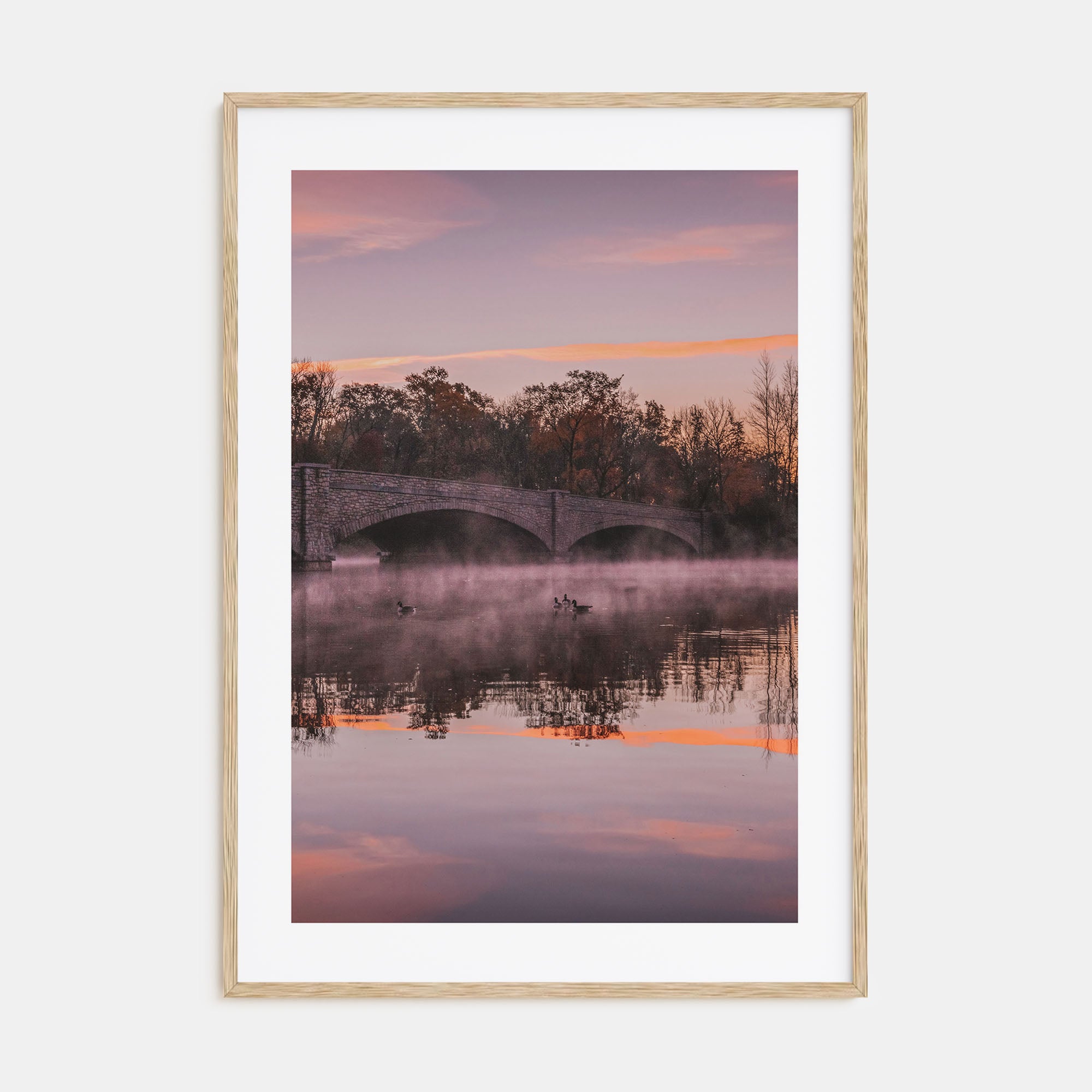 Princeton Photo Color No 1 Poster