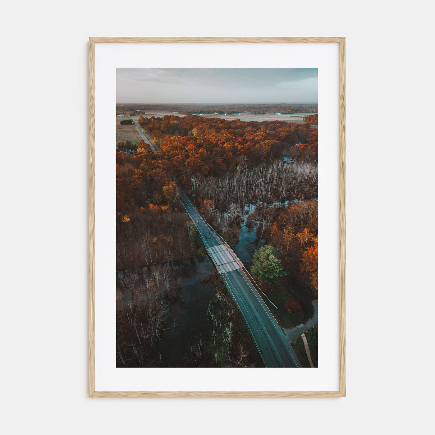 Princeton Photo Color No 2 Poster