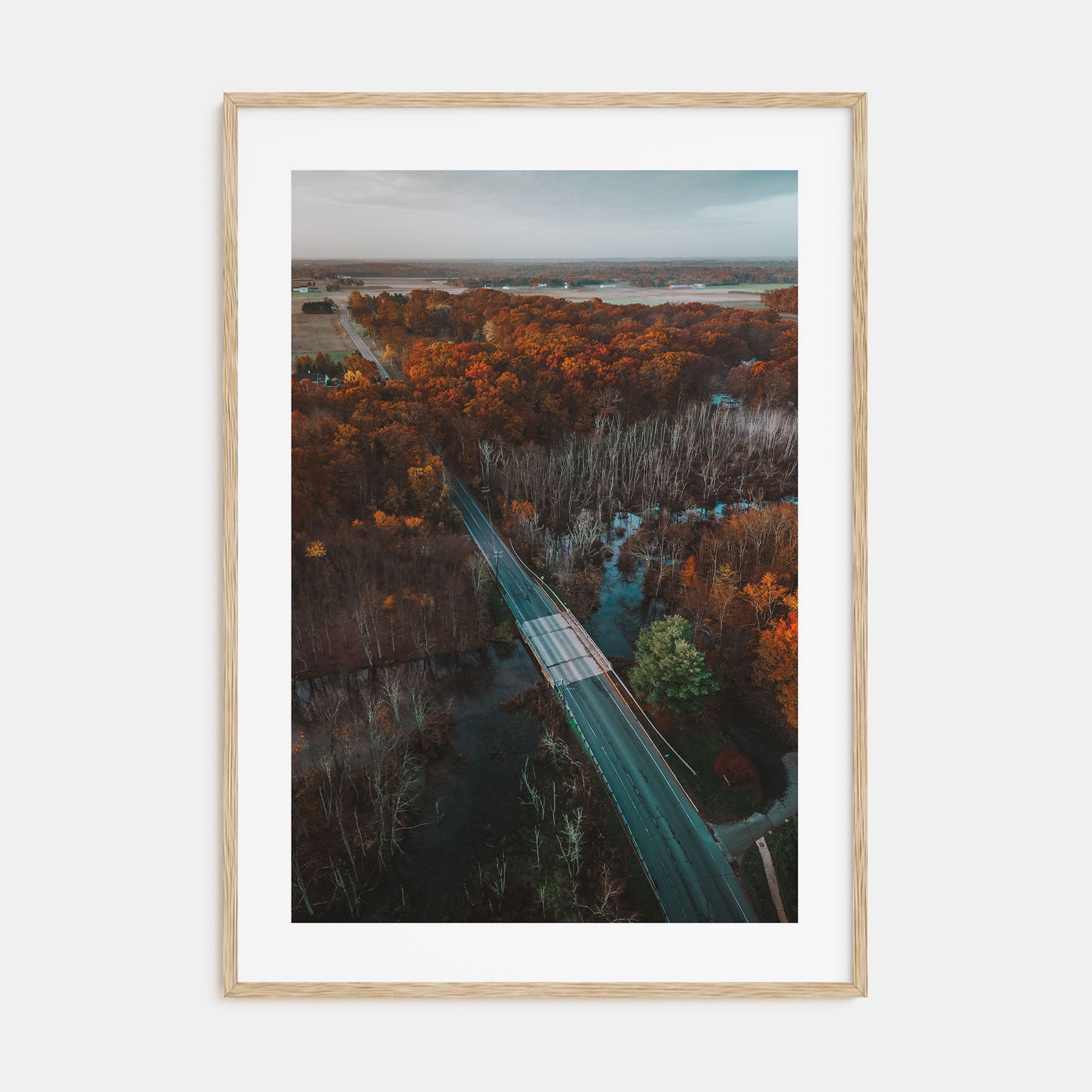 Princeton Photo Color No 2 Poster