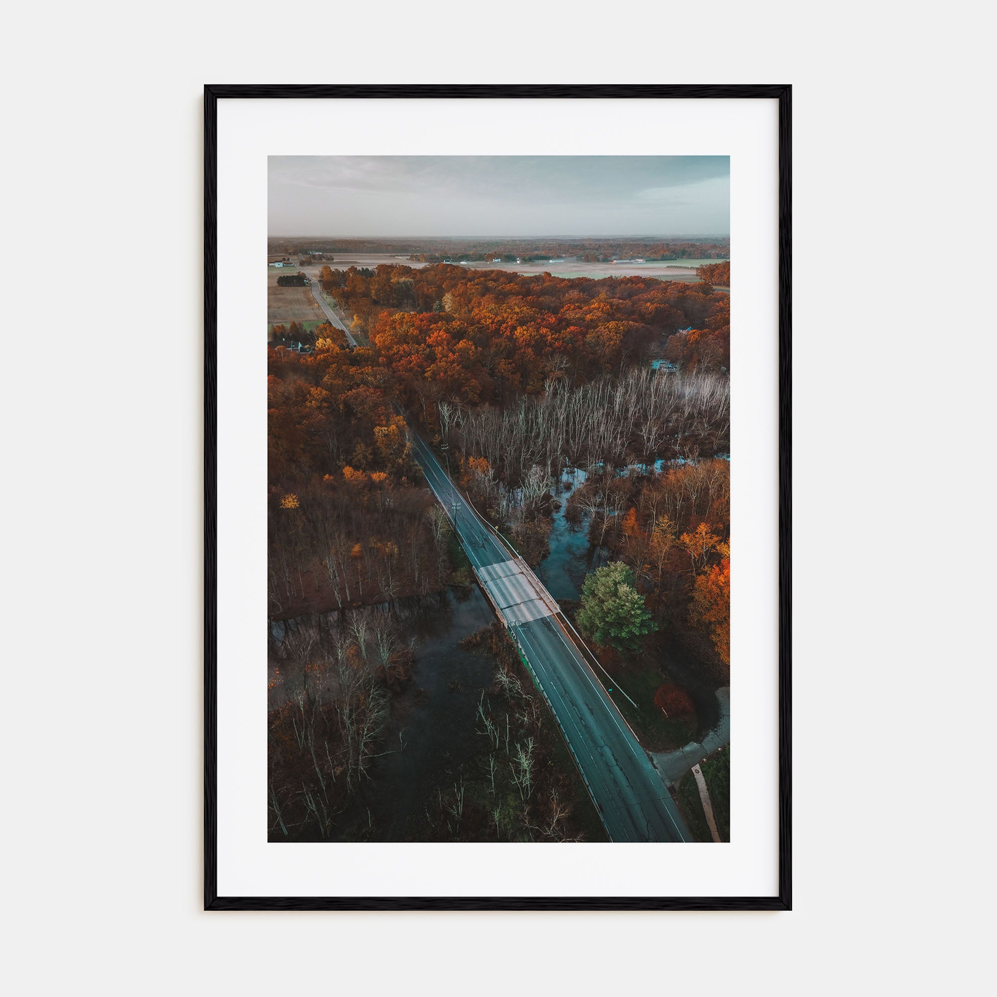 Princeton Photo Color No 2 Poster