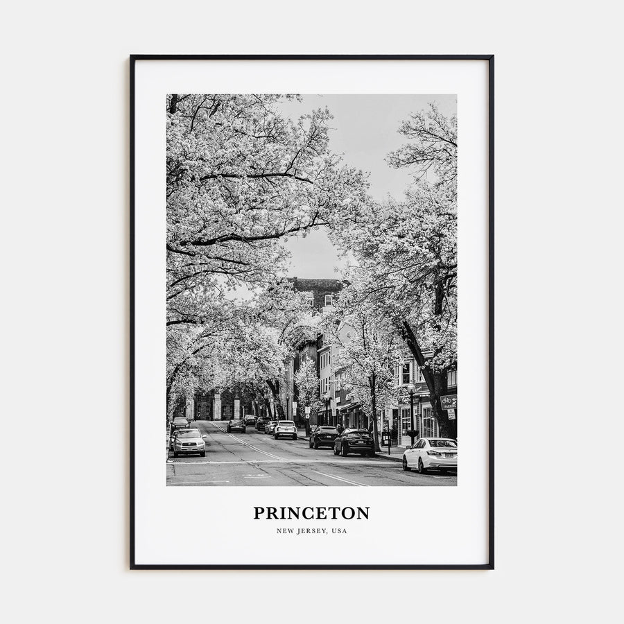 Princeton Portrait B&W Poster