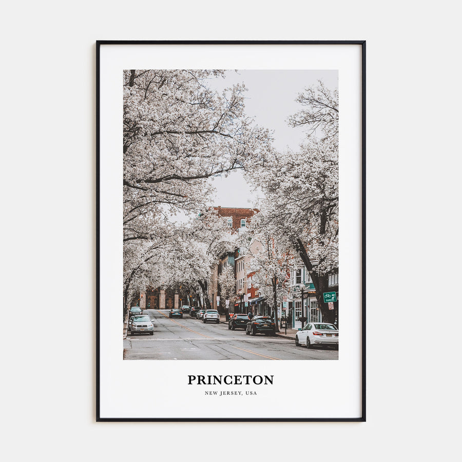 Princeton Portrait Color Poster