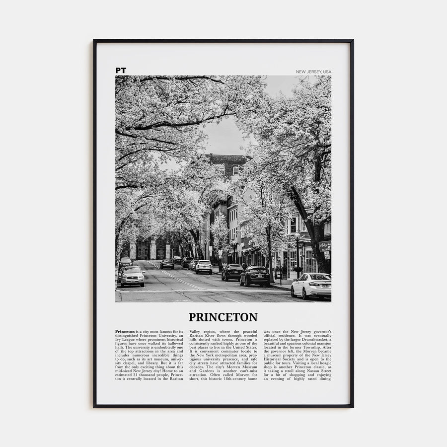 Princeton Travel B&W Poster