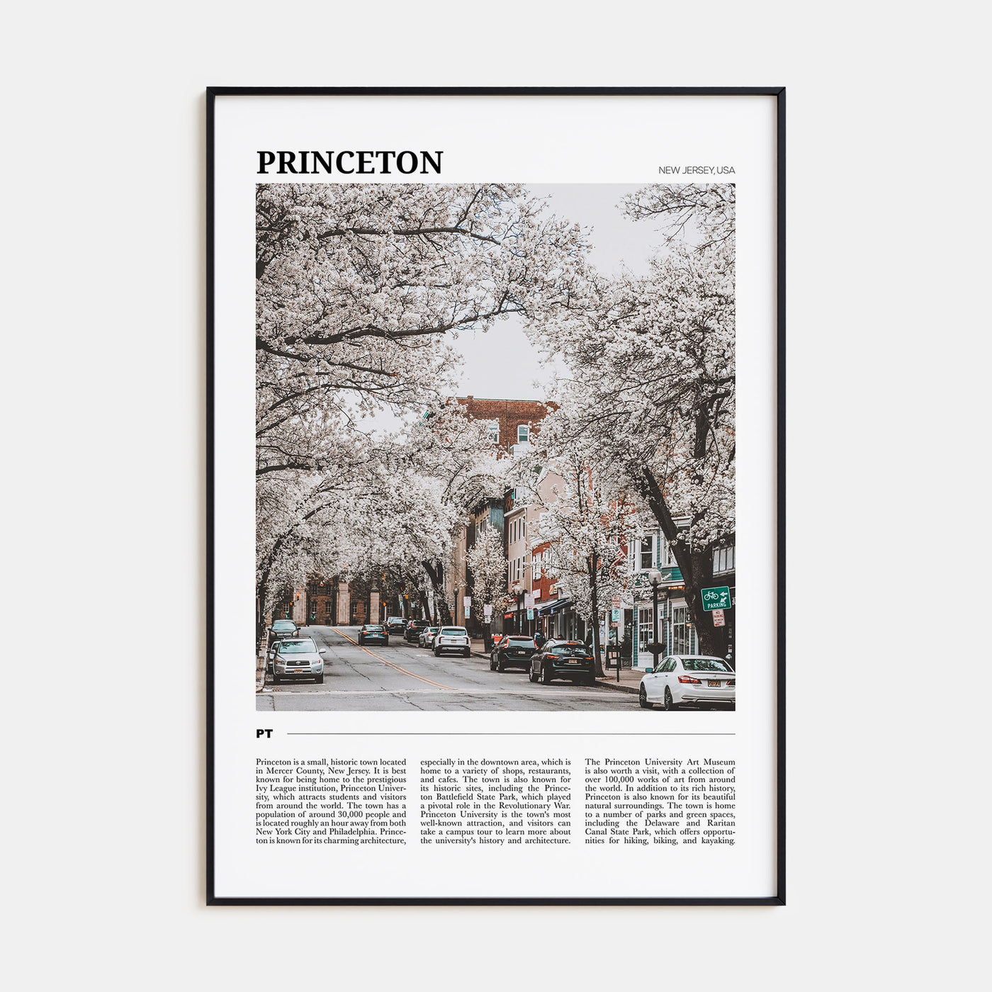 Princeton Travel Color Poster