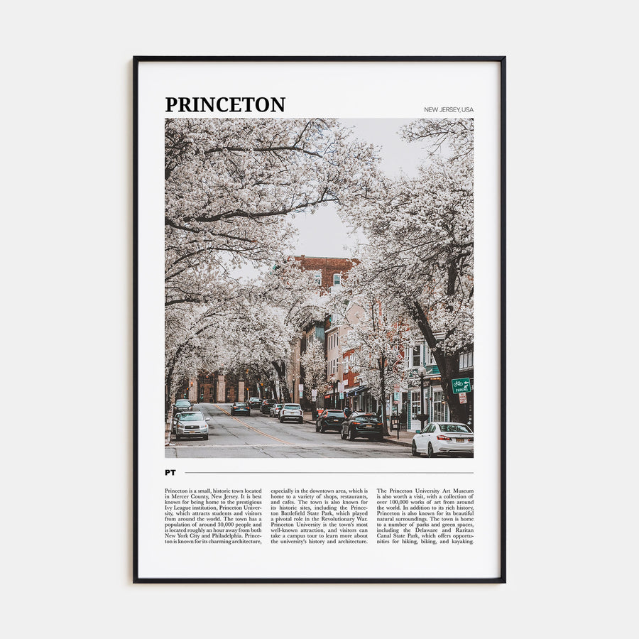 Princeton Travel Color Poster