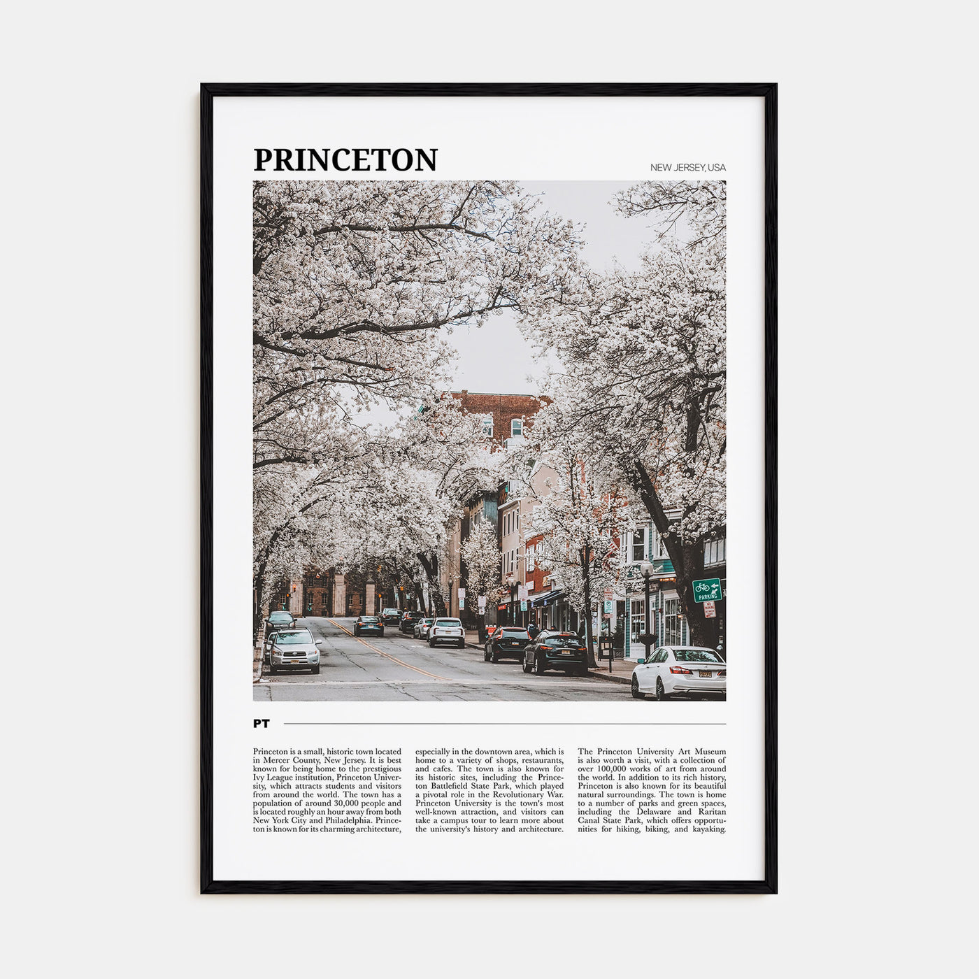 Princeton Travel Color Poster