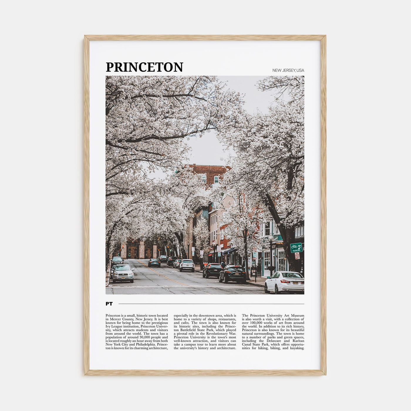 Princeton Travel Color Poster