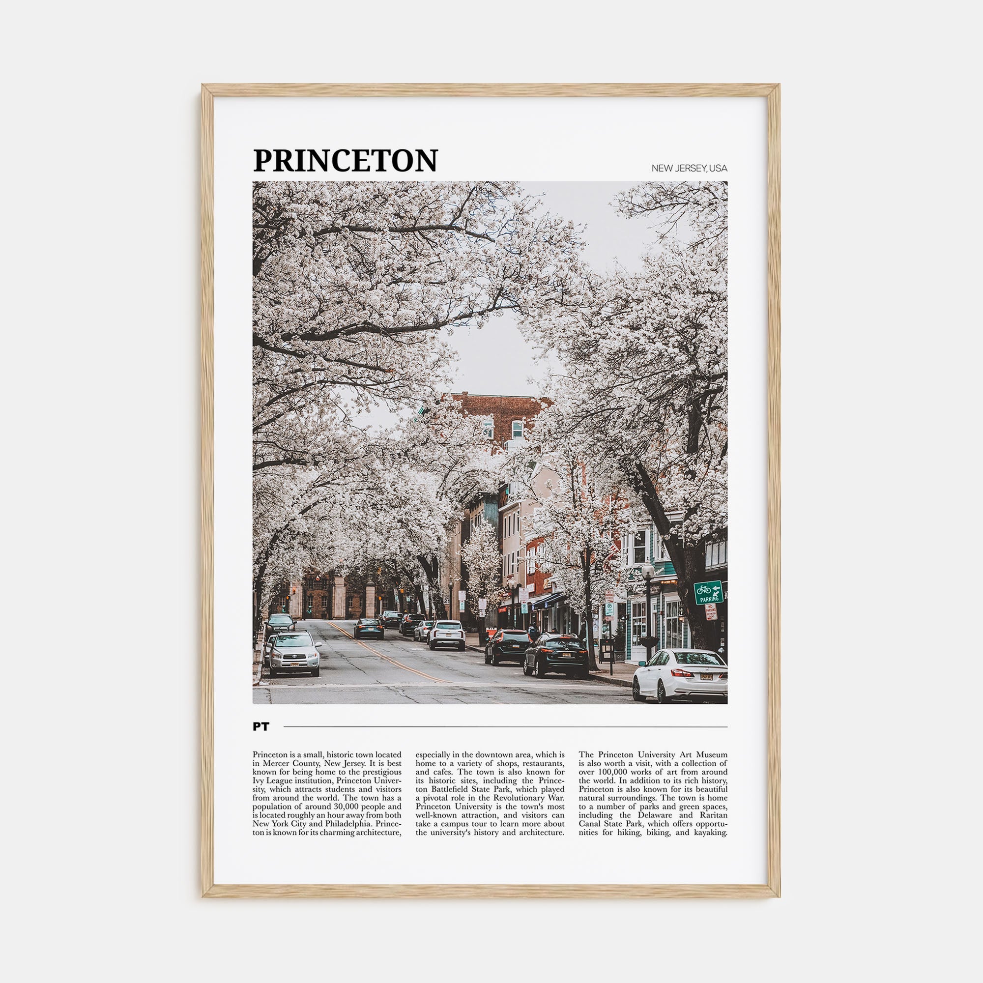 Princeton Travel Color Poster