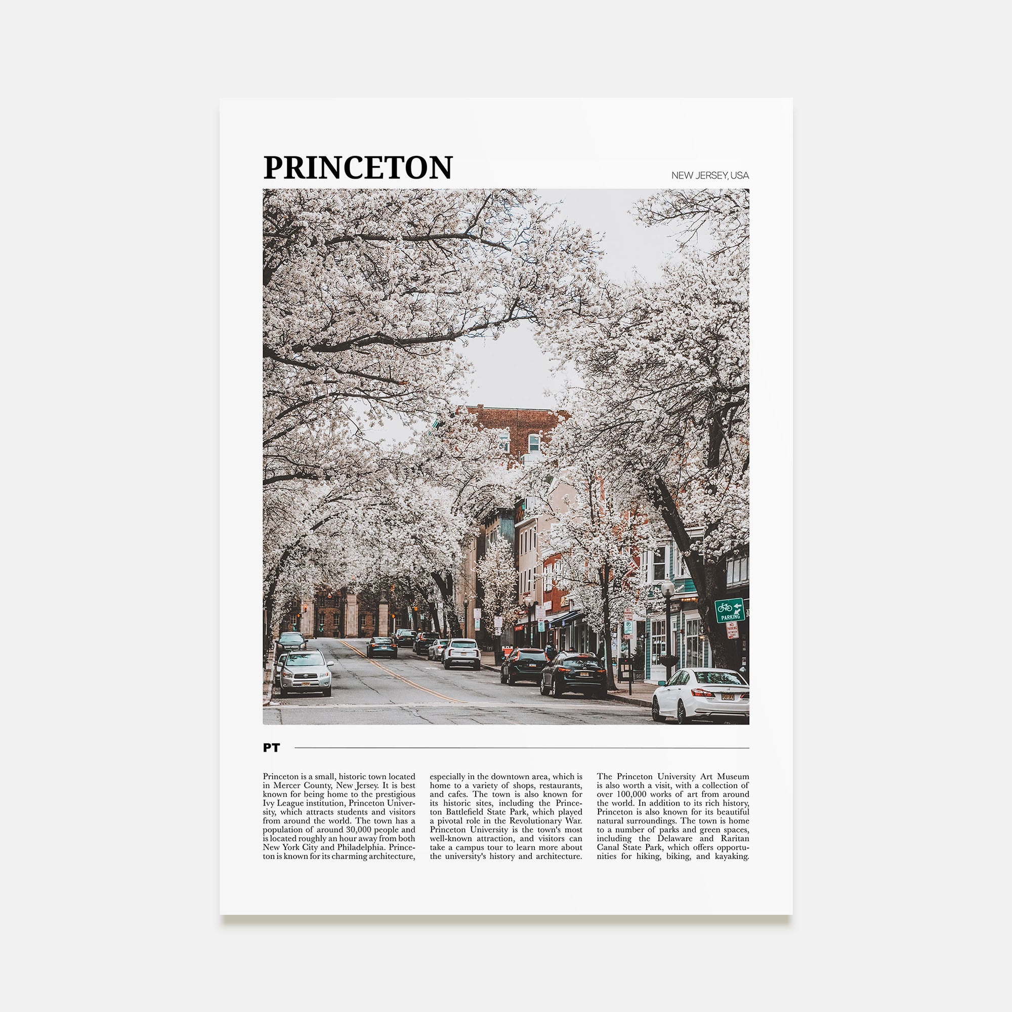 Princeton Travel Color Poster
