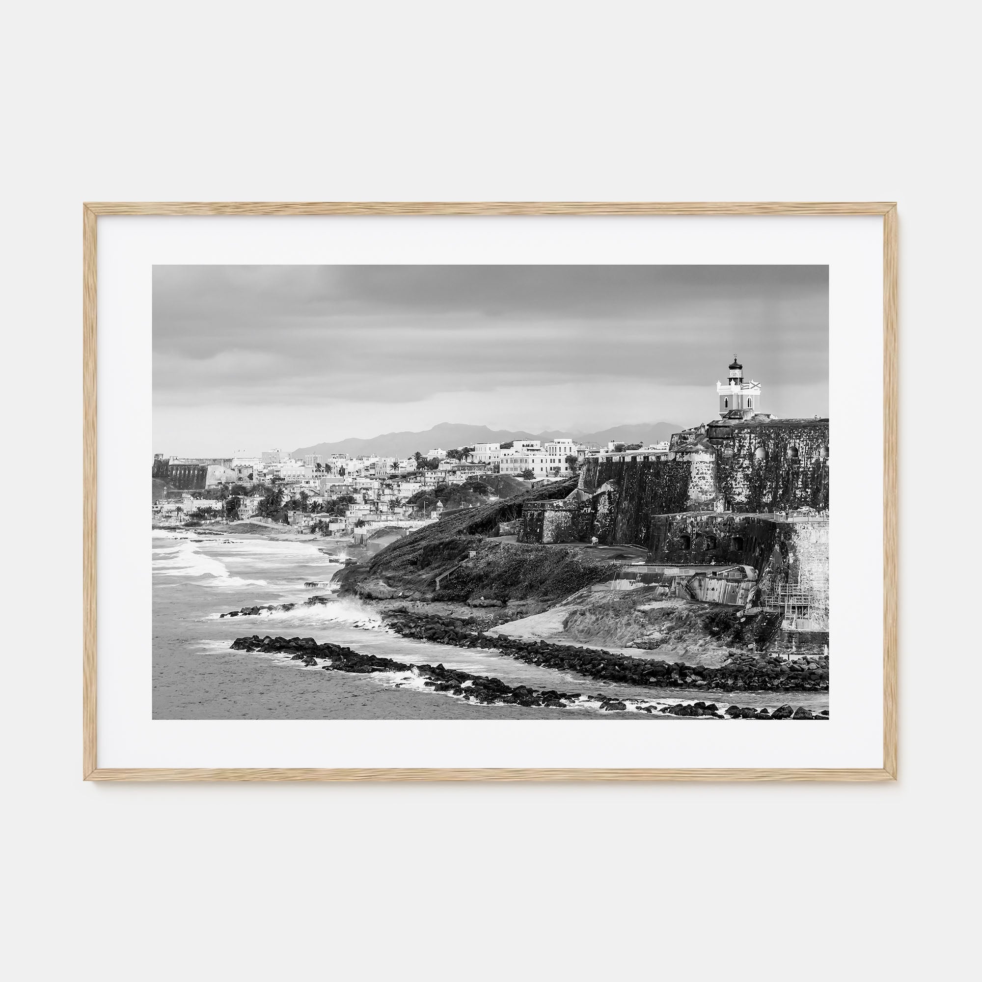 Puerto Rico Landscape B&W Poster