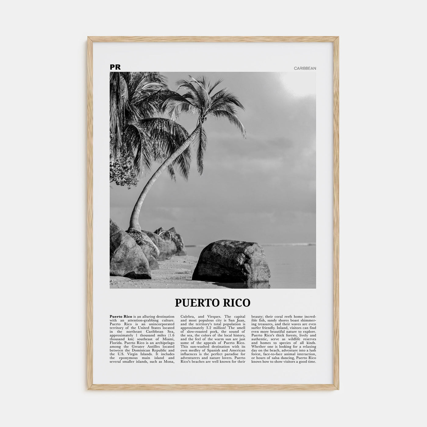 Puerto Rico Travel B&W No 1 Poster