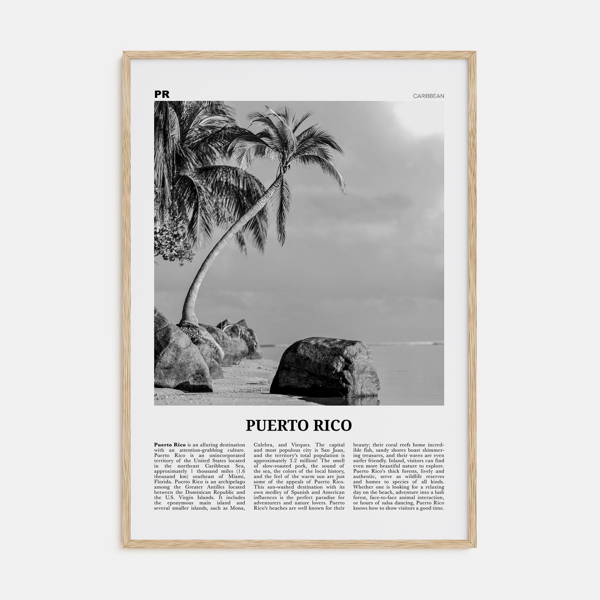 Puerto Rico Travel B&W No 1 Poster