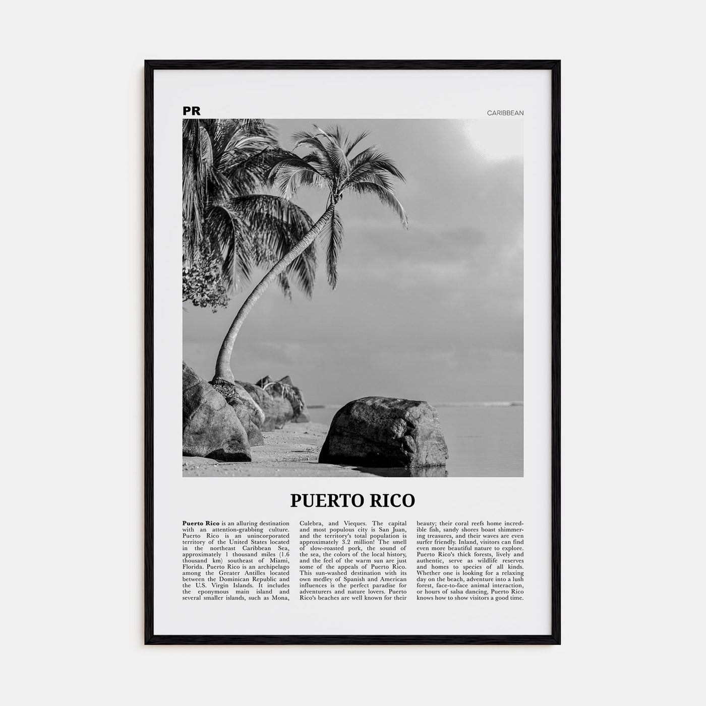 Puerto Rico Travel B&W No 1 Poster