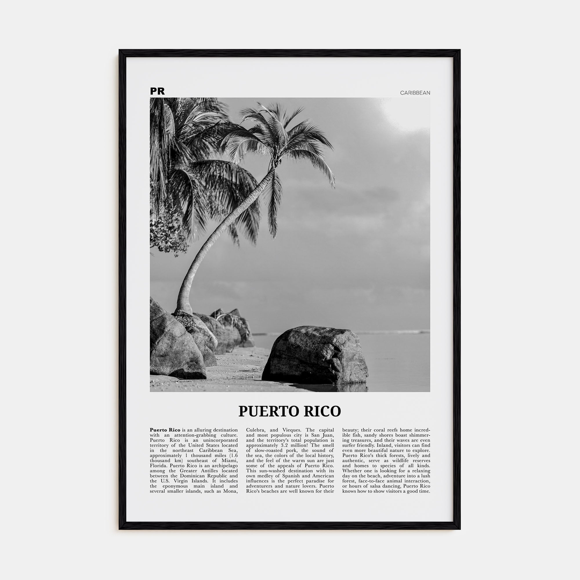 Puerto Rico Travel B&W No 1 Poster