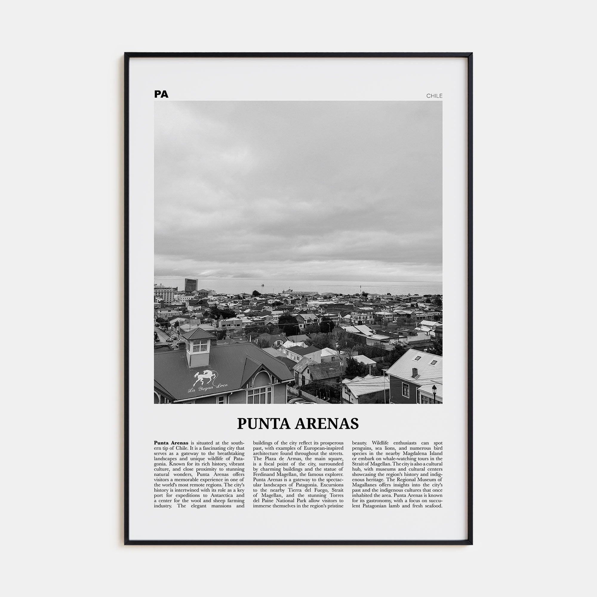 Punta Arenas Travel B&W Poster