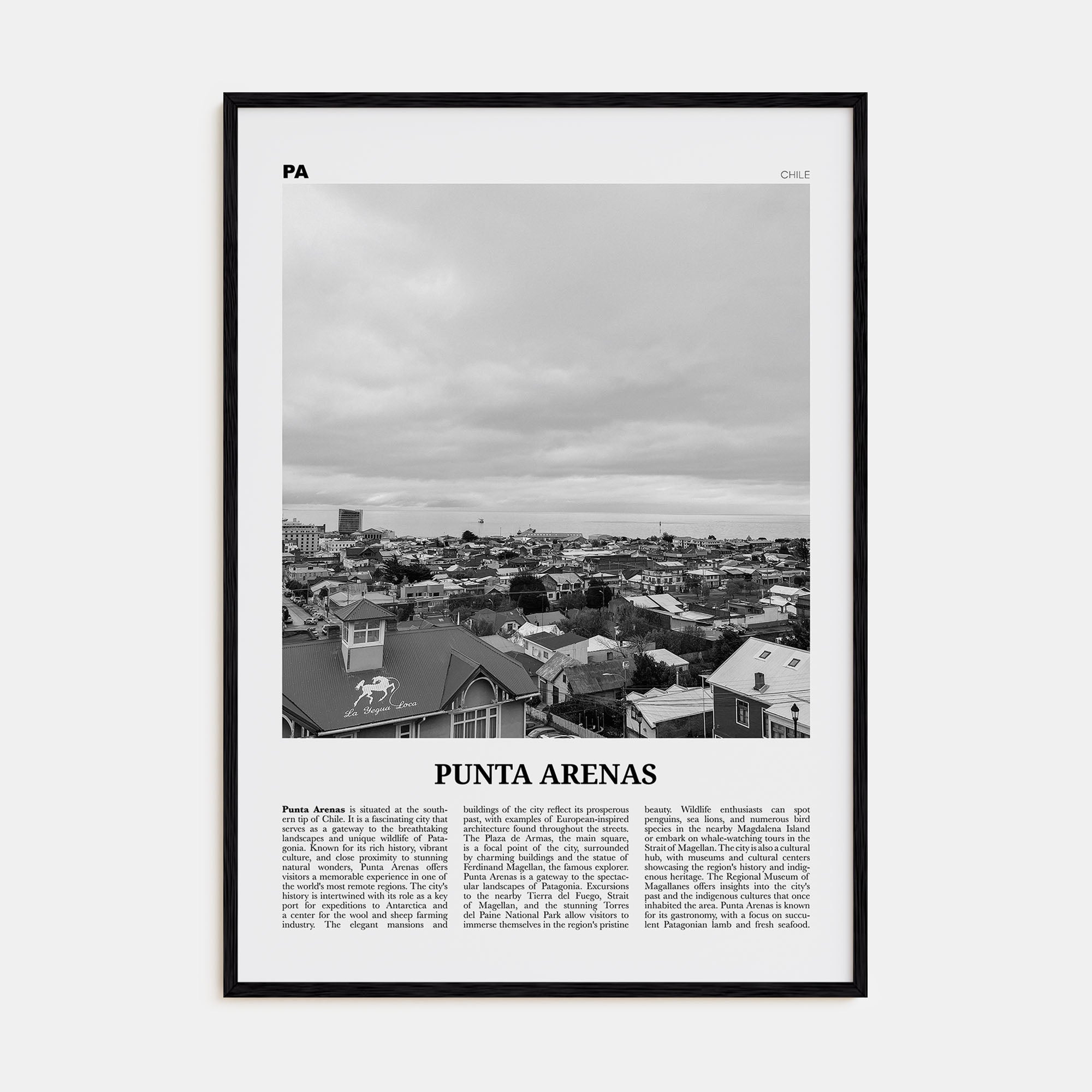 Punta Arenas Travel B&W Poster