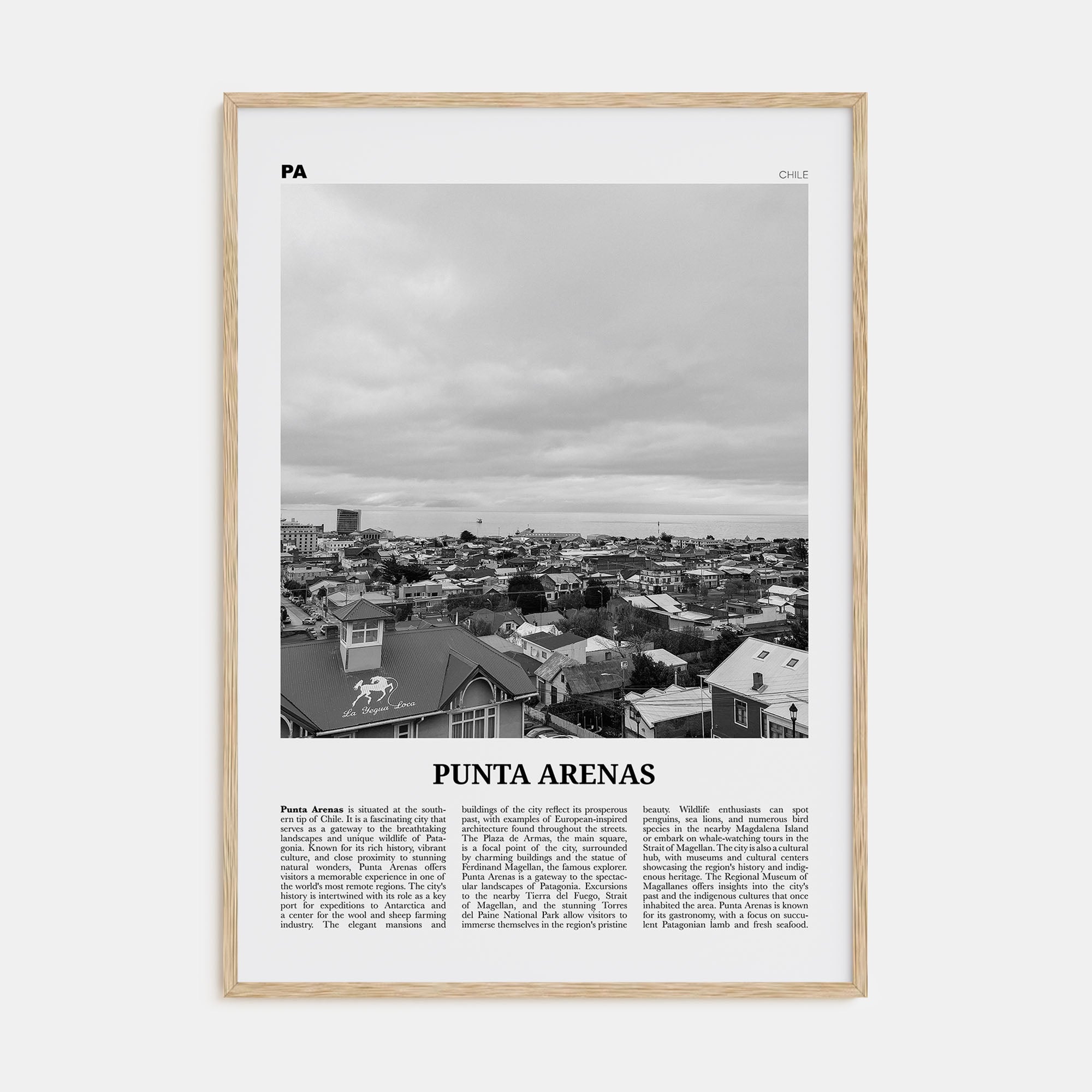 Punta Arenas Travel B&W Poster
