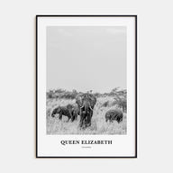 Queen Elizabeth National Park Portrait B&W Poster
