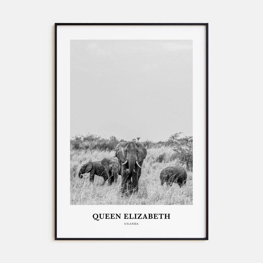 Queen Elizabeth National Park Portrait B&W Poster