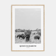 Queen Elizabeth National Park Portrait B&W Poster
